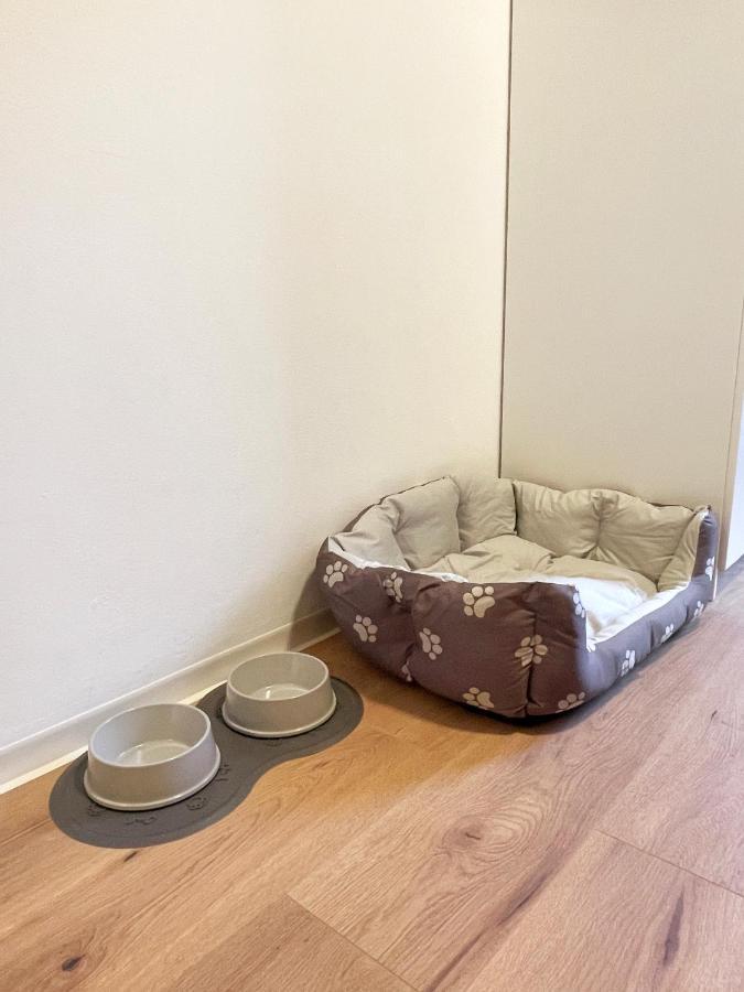 Appartement Moderne In